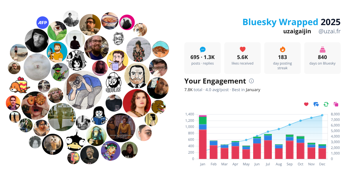 Your Bluesky Wrapped 2025 preview