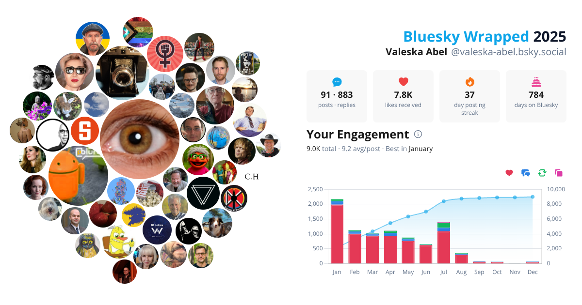 Your Bluesky Wrapped 2025 preview