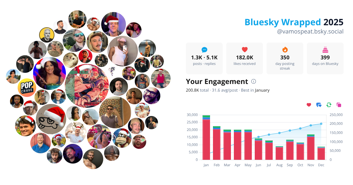 Your Bluesky Wrapped 2025 preview