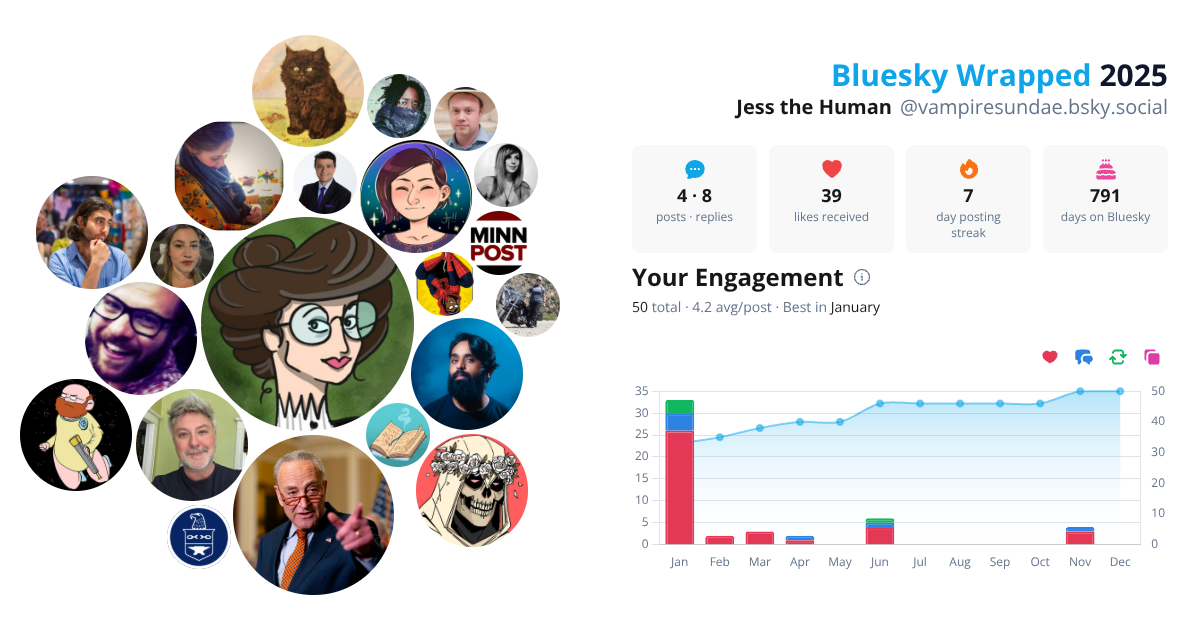 Your Bluesky Wrapped 2025 preview
