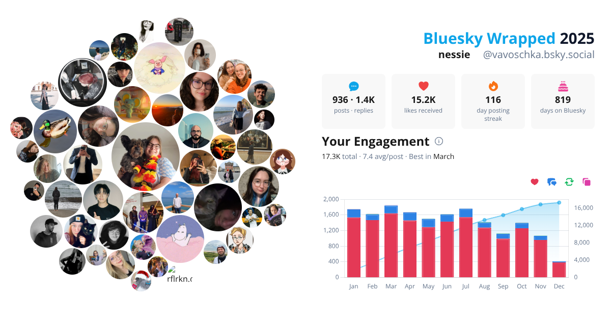 Your Bluesky Wrapped 2025 preview