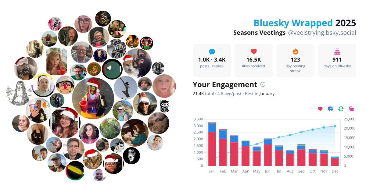 Your Bluesky Wrapped 2025 preview