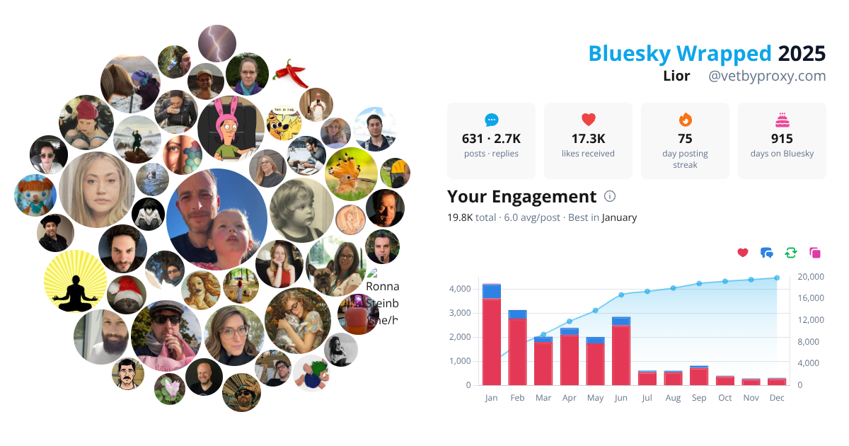 Your Bluesky Wrapped 2025 preview