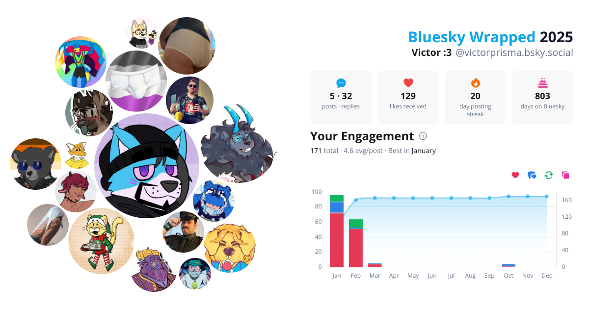 Your Bluesky Wrapped 2025 preview