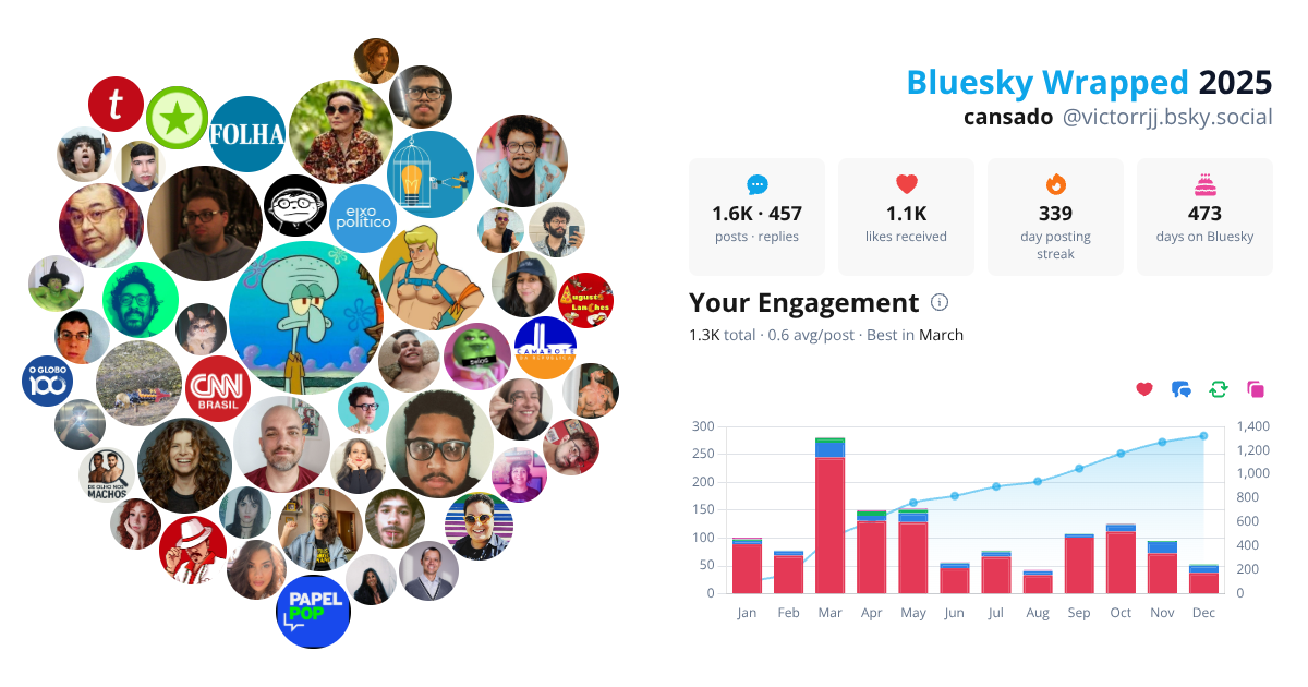 Your Bluesky Wrapped 2025 preview