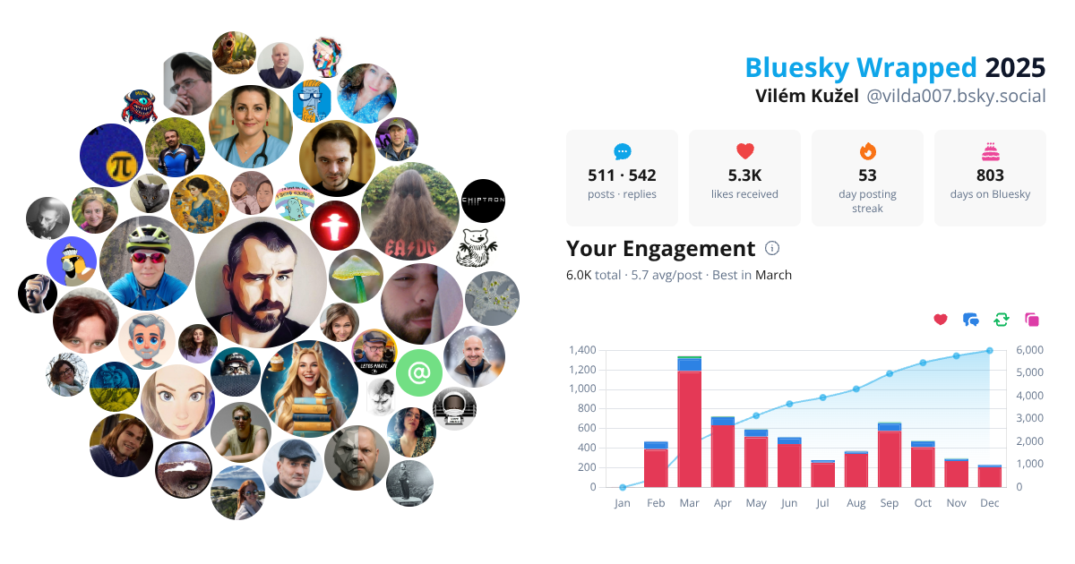Your Bluesky Wrapped 2025 preview