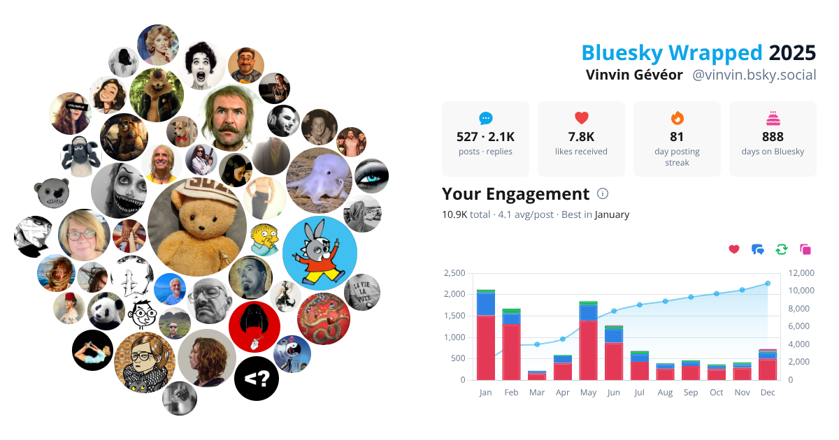 Your Bluesky Wrapped 2025 preview