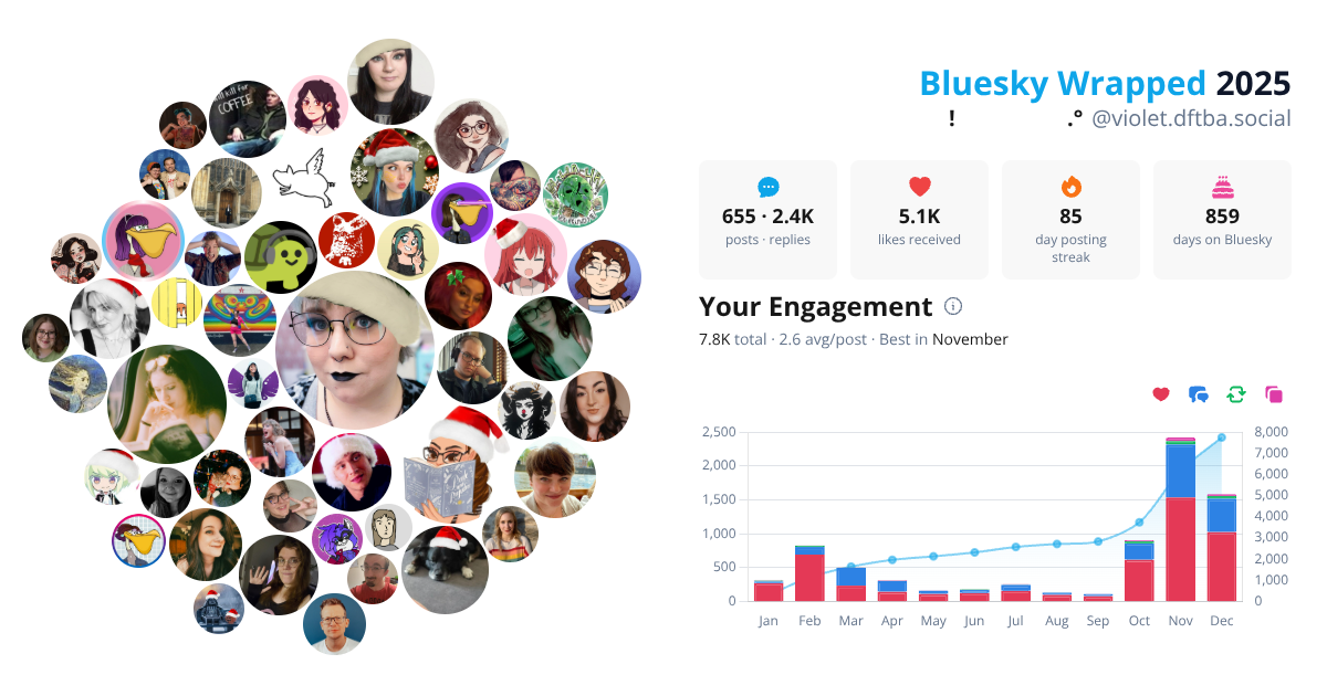 Your Bluesky Wrapped 2025 preview