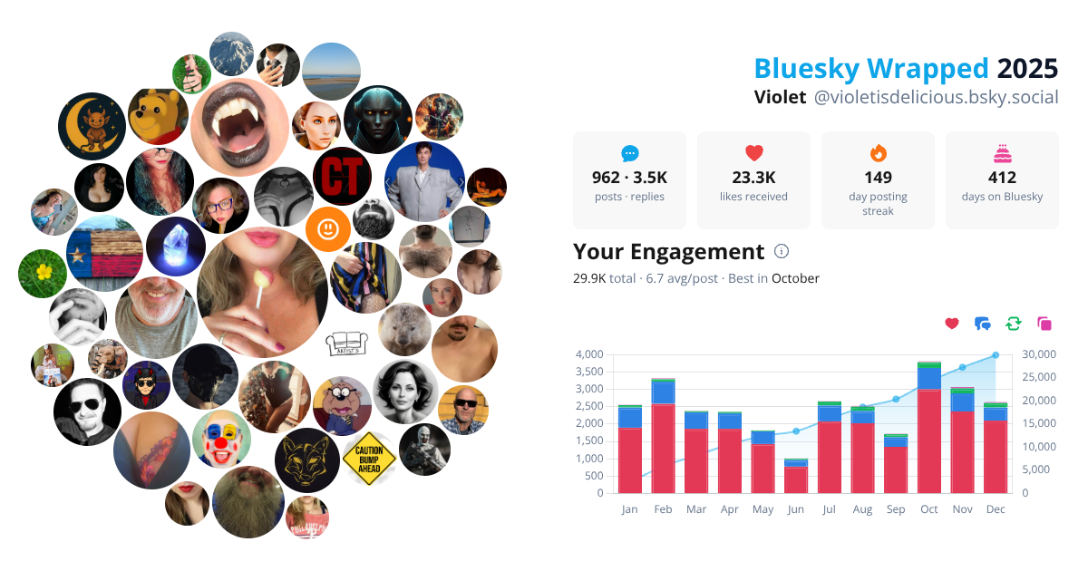 Your Bluesky Wrapped 2025 preview