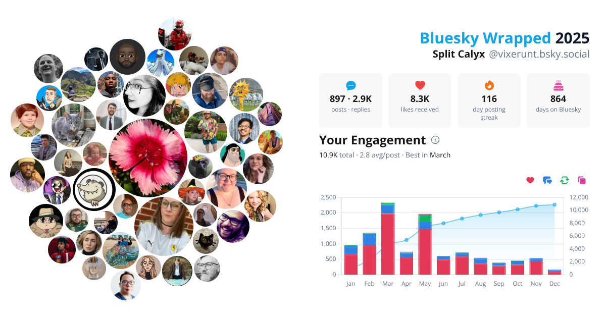Your Bluesky Wrapped 2025 preview