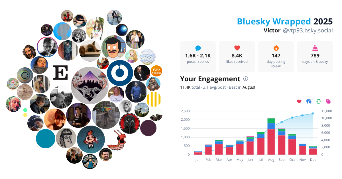 Your Bluesky Wrapped 2025 preview
