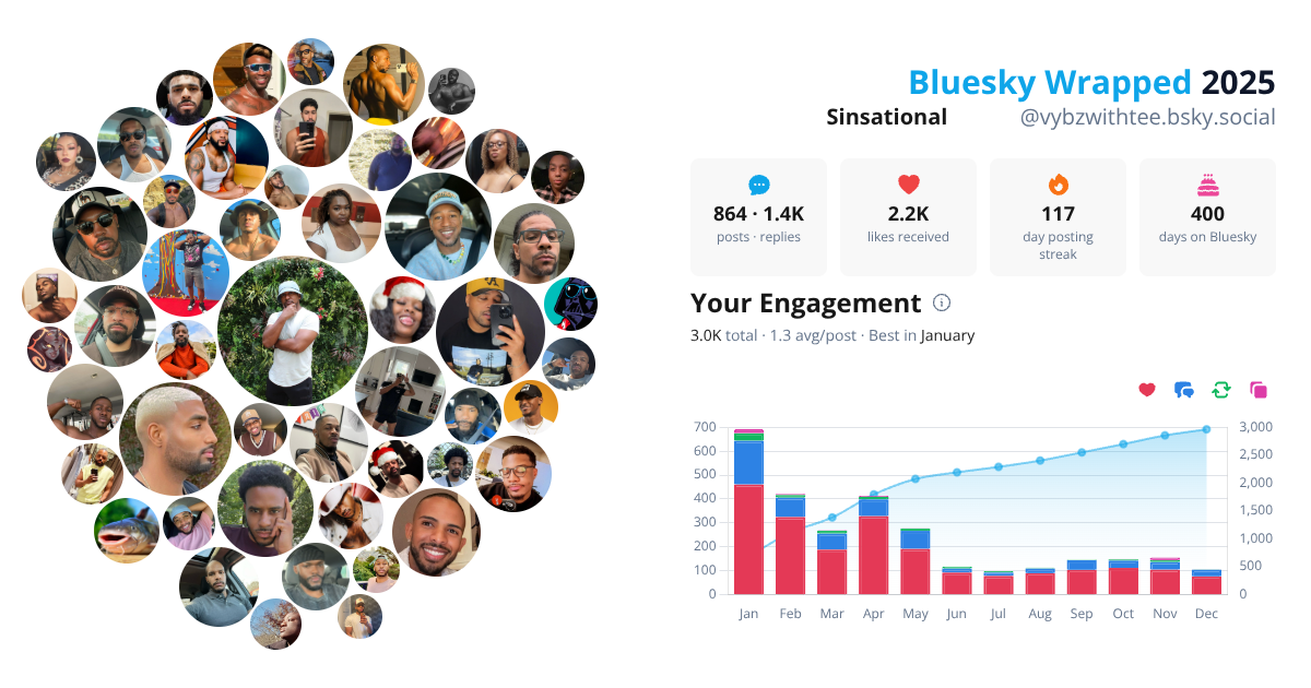 Your Bluesky Wrapped 2025 preview