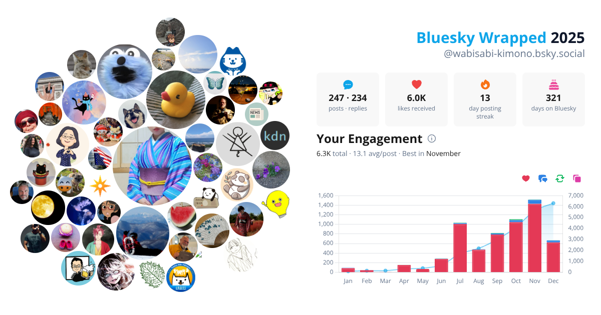 Your Bluesky Wrapped 2025 preview