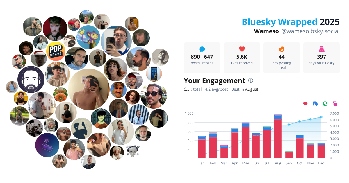 Your Bluesky Wrapped 2025 preview