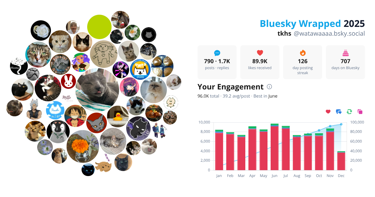 Your Bluesky Wrapped 2025 preview