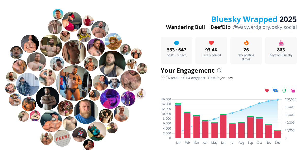 Your Bluesky Wrapped 2025 preview