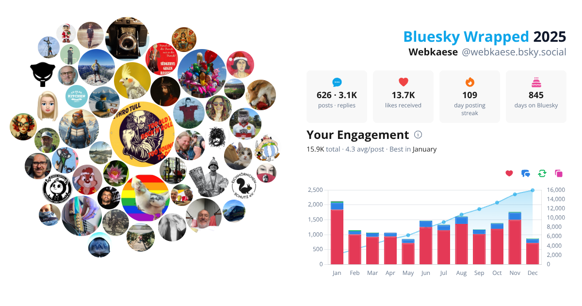 Your Bluesky Wrapped 2025 preview