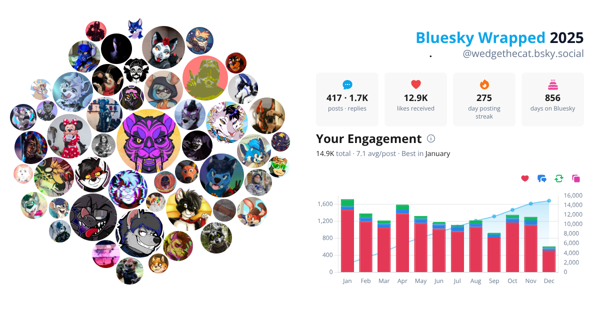 Your Bluesky Wrapped 2025 preview