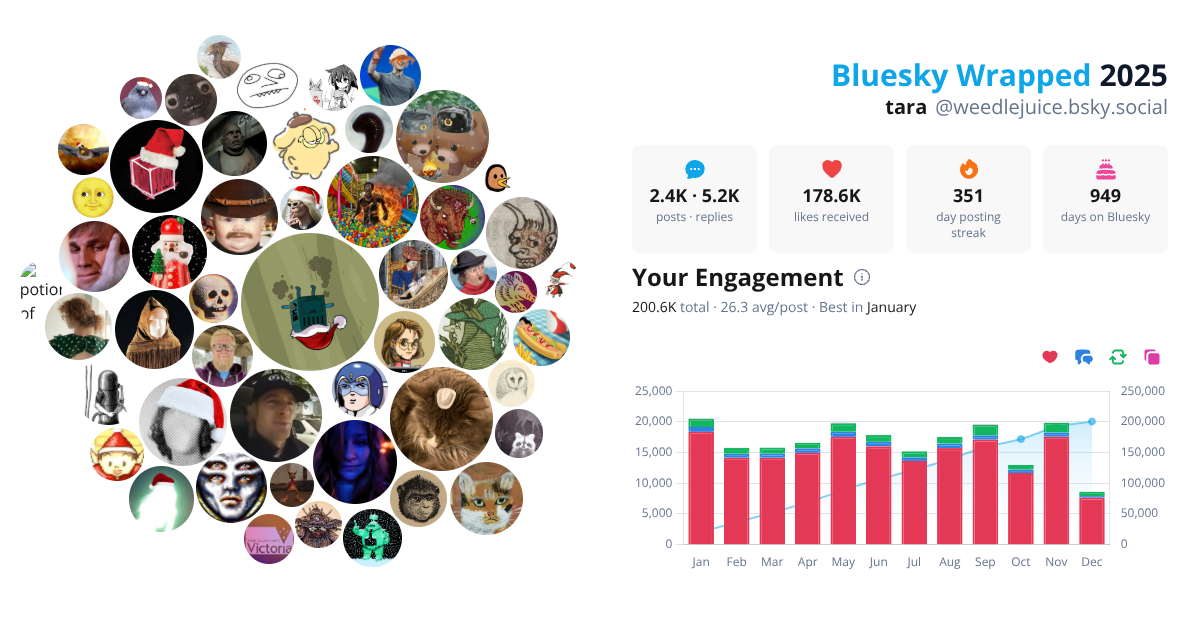 Your Bluesky Wrapped 2025 preview