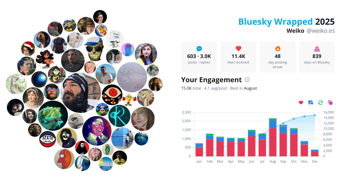 Your Bluesky Wrapped 2025 preview