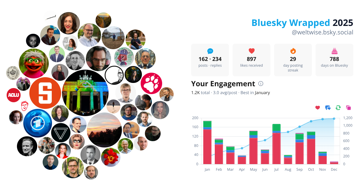 Your Bluesky Wrapped 2025 preview