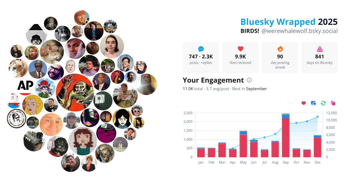 Your Bluesky Wrapped 2025 preview