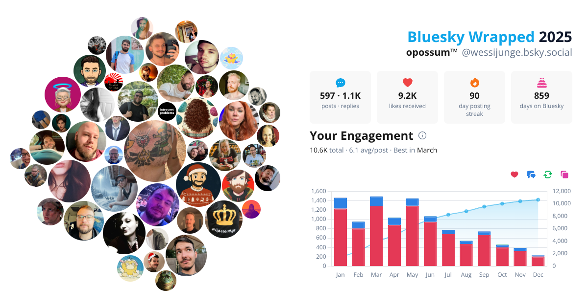 Your Bluesky Wrapped 2025 preview