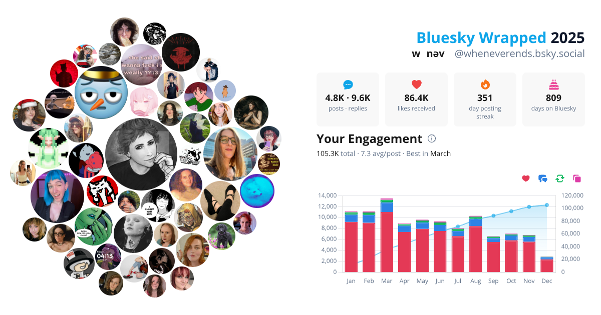 Your Bluesky Wrapped 2025 preview