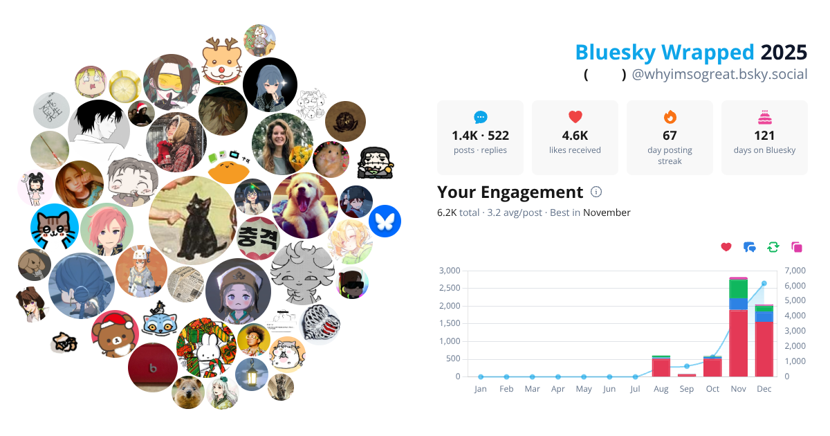 Your Bluesky Wrapped 2025 preview