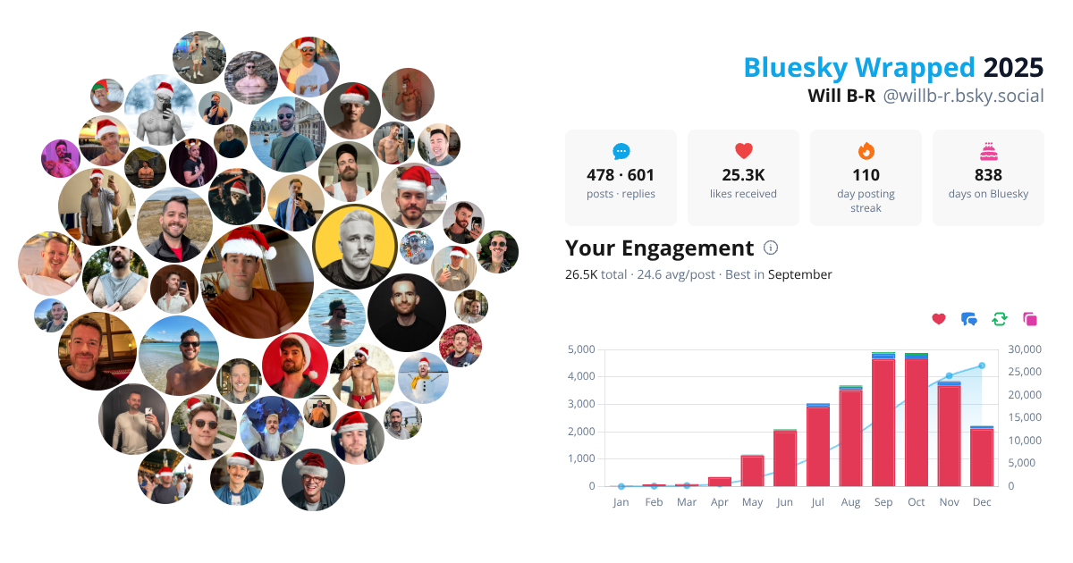 Your Bluesky Wrapped 2025 preview