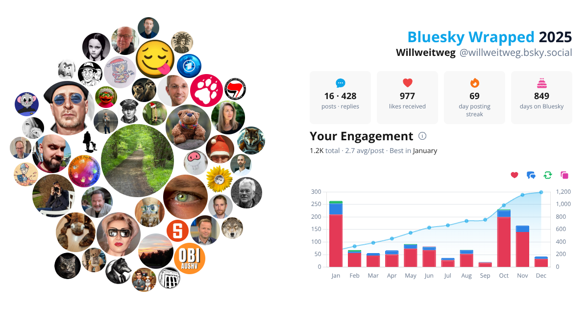 Your Bluesky Wrapped 2025 preview