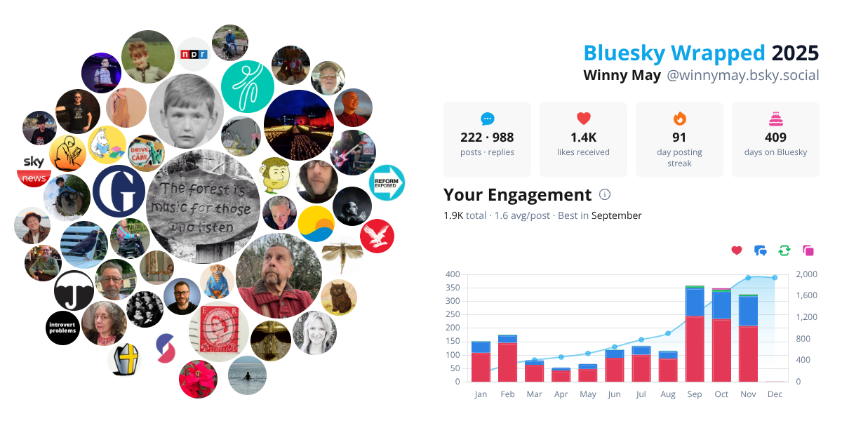 Your Bluesky Wrapped 2025 preview