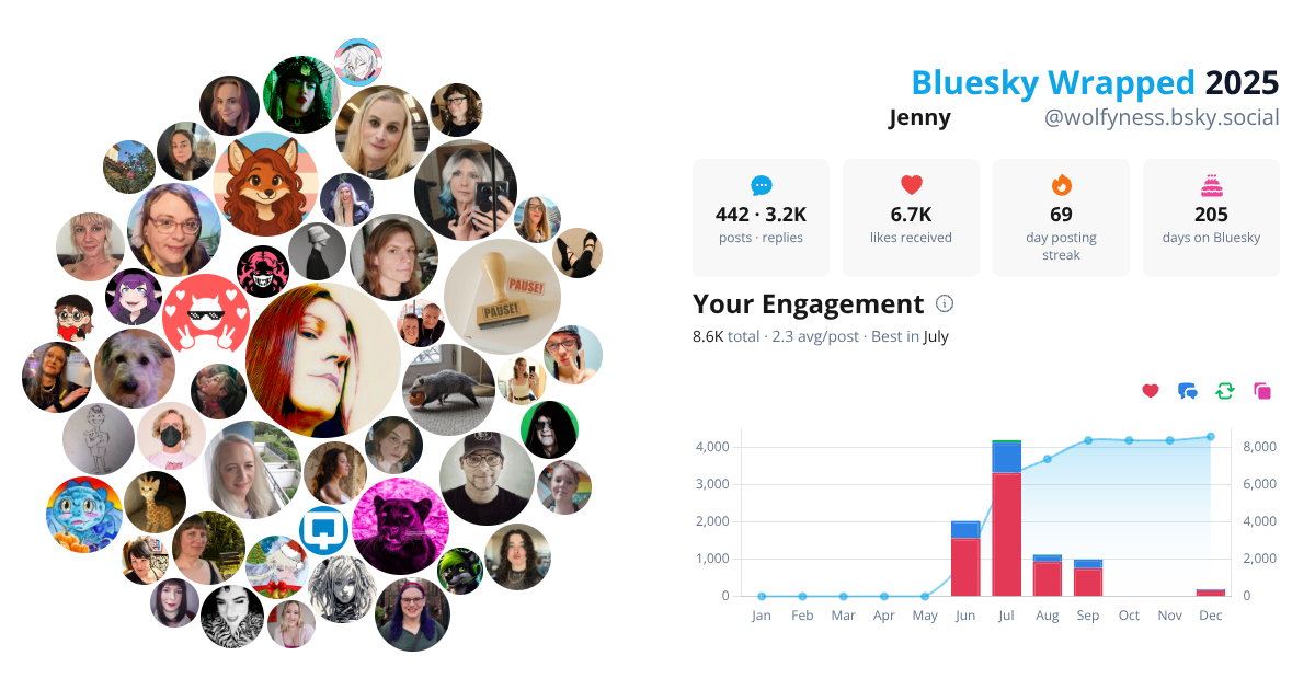 Your Bluesky Wrapped 2025 preview
