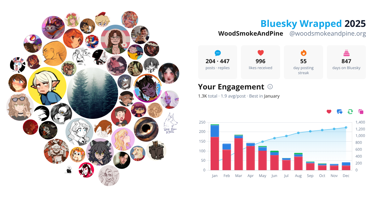 Your Bluesky Wrapped 2025 preview