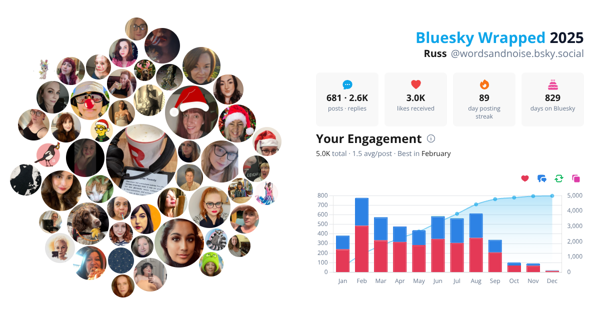 Your Bluesky Wrapped 2025 preview