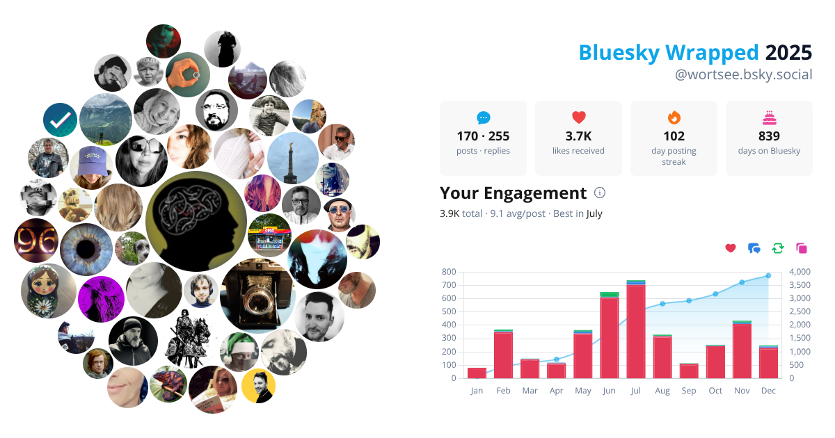 Your Bluesky Wrapped 2025 preview