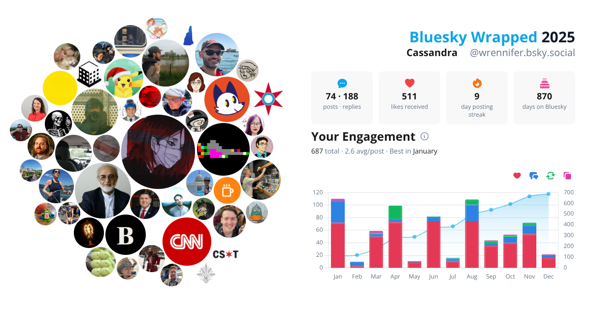 Your Bluesky Wrapped 2025 preview