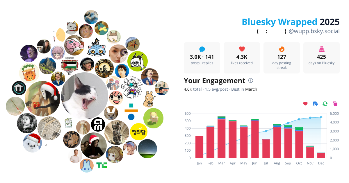 Your Bluesky Wrapped 2025 preview