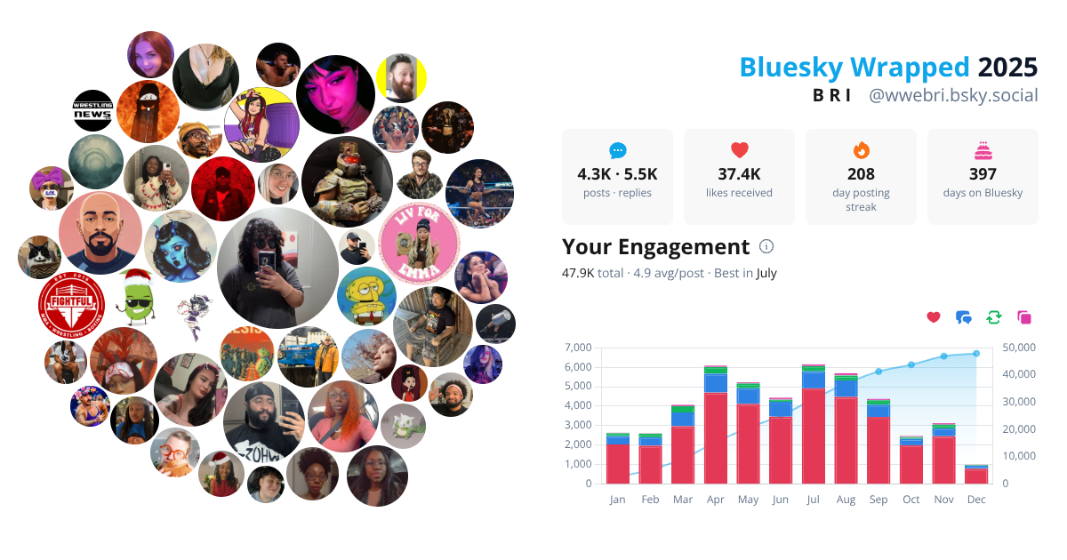 Your Bluesky Wrapped 2025 preview