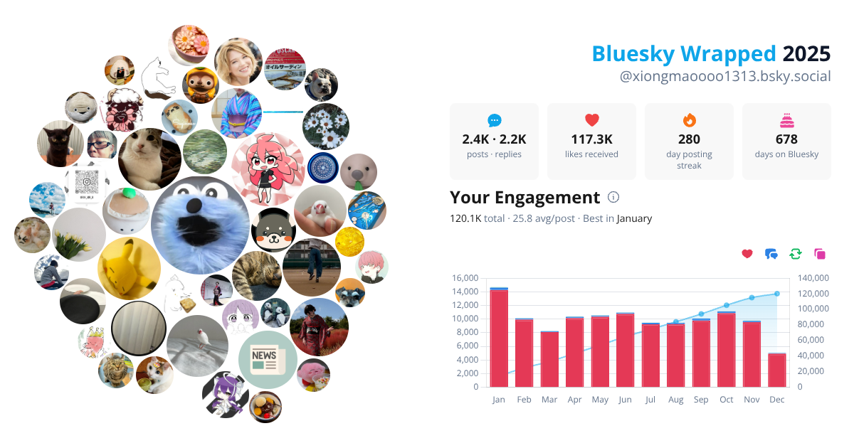 Your Bluesky Wrapped 2025 preview
