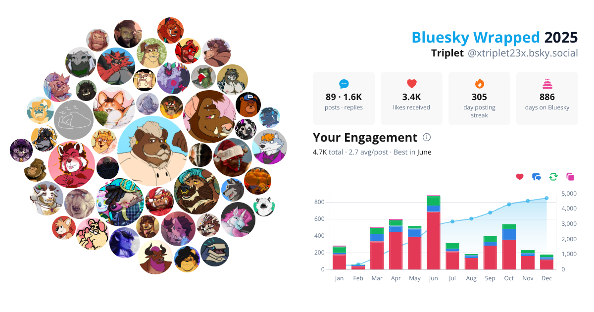 Your Bluesky Wrapped 2025 preview