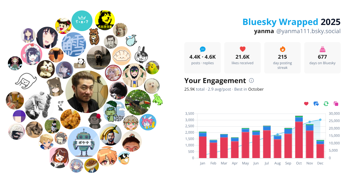 Your Bluesky Wrapped 2025 preview