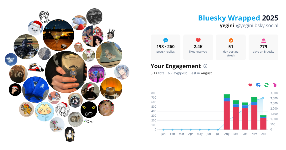Your Bluesky Wrapped 2025 preview