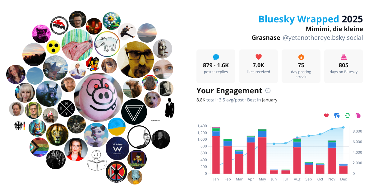 Your Bluesky Wrapped 2025 preview