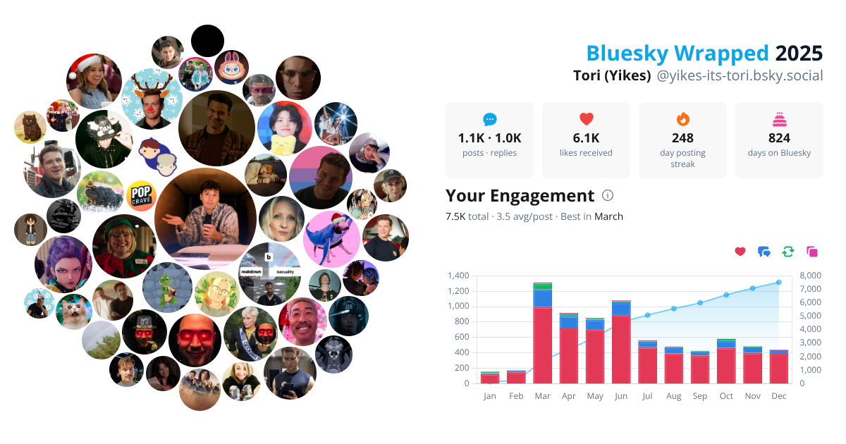 Your Bluesky Wrapped 2025 preview
