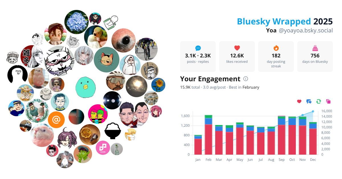Your Bluesky Wrapped 2025 preview