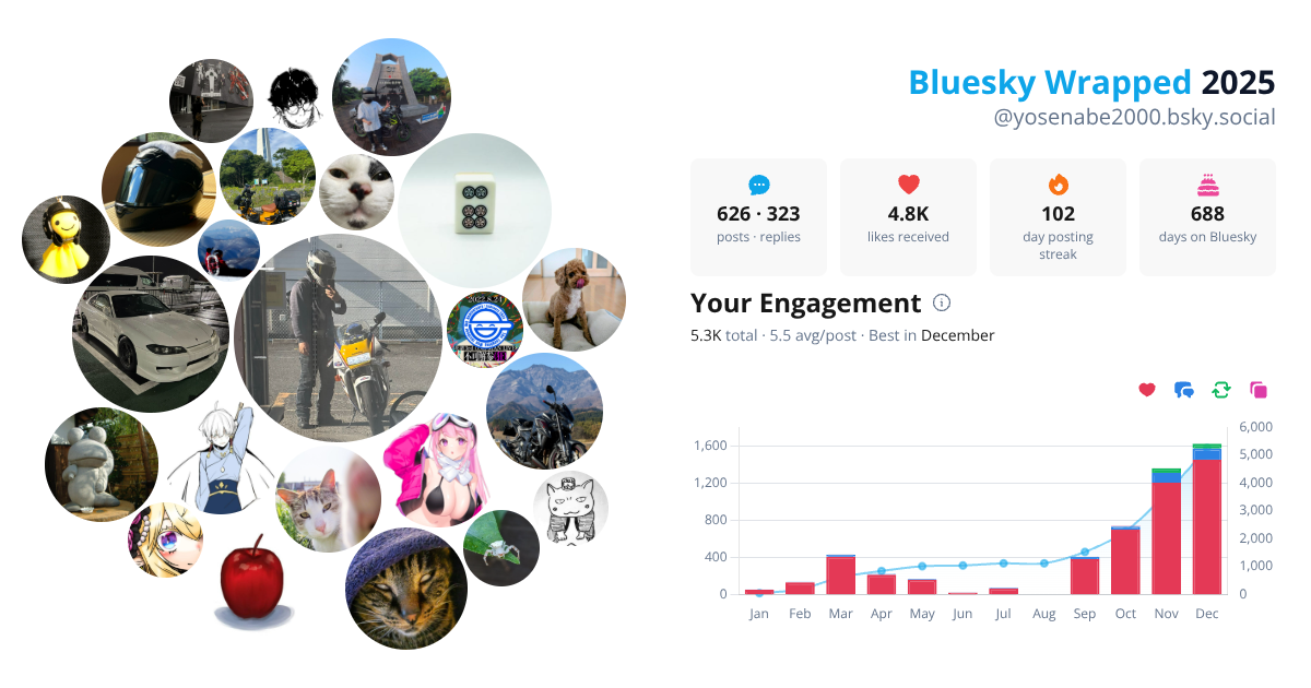 Your Bluesky Wrapped 2025 preview