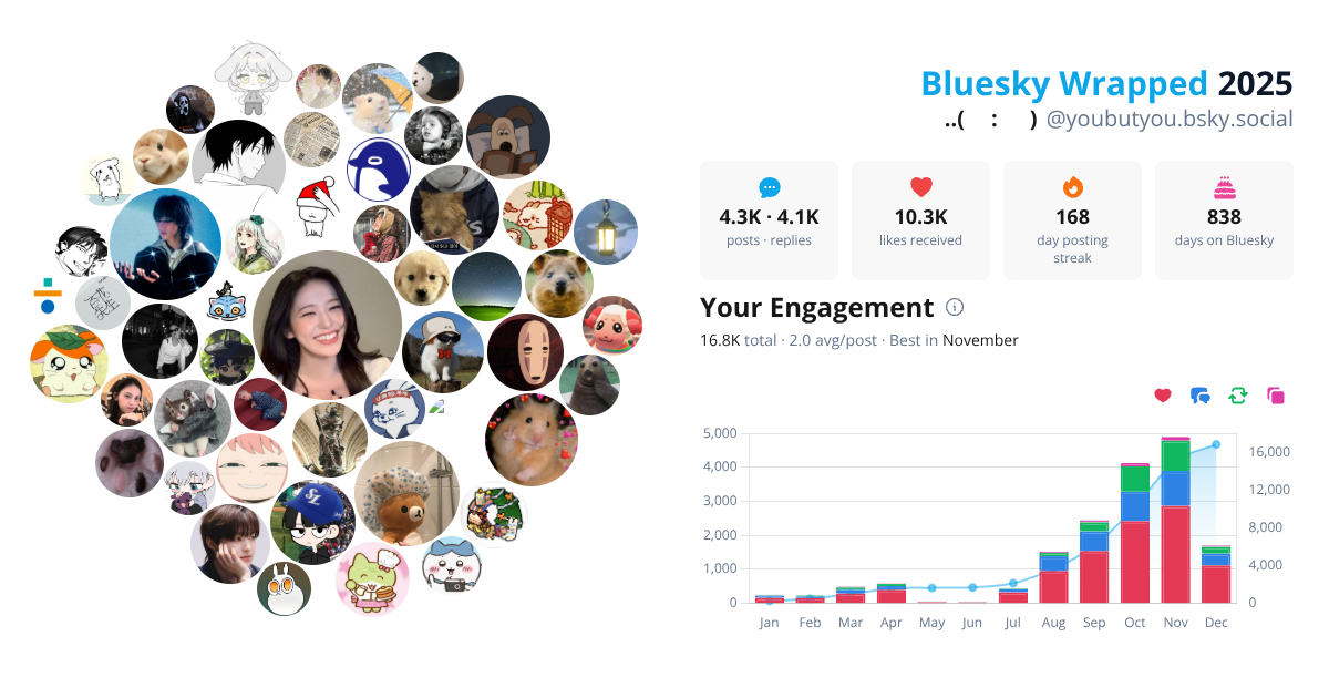 Your Bluesky Wrapped 2025 preview