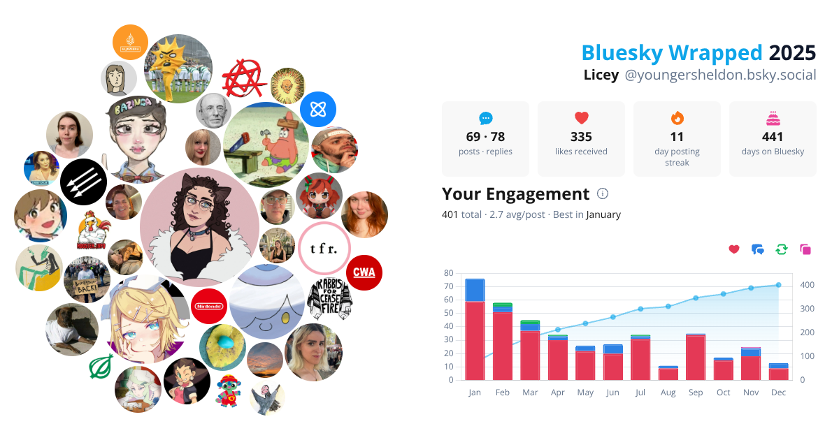 Your Bluesky Wrapped 2025 preview