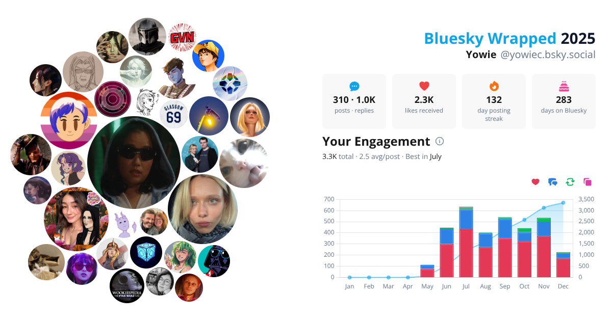 Your Bluesky Wrapped 2025 preview